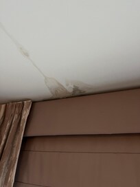 You can see the mold on the ceiling