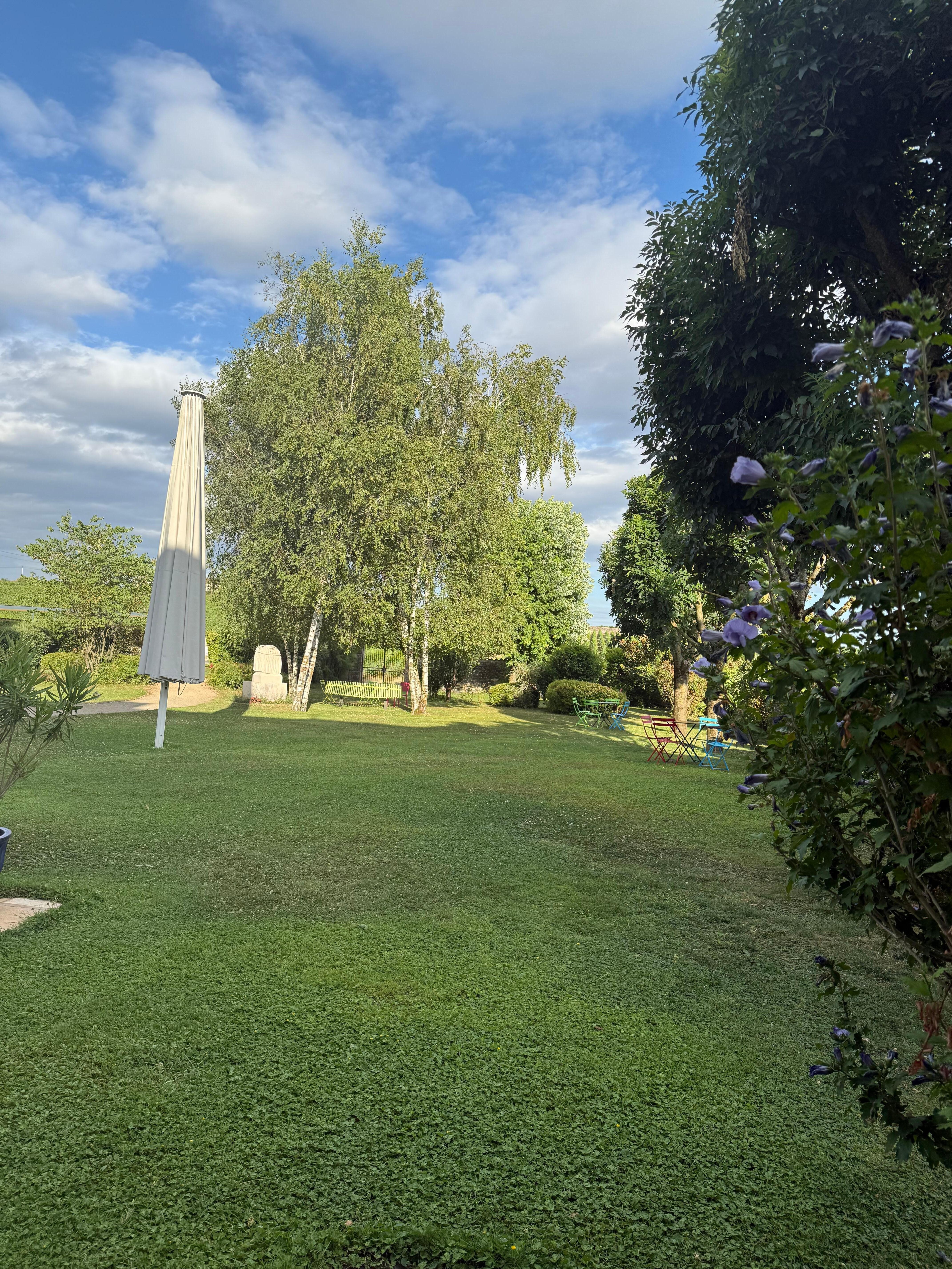 Back garden 
