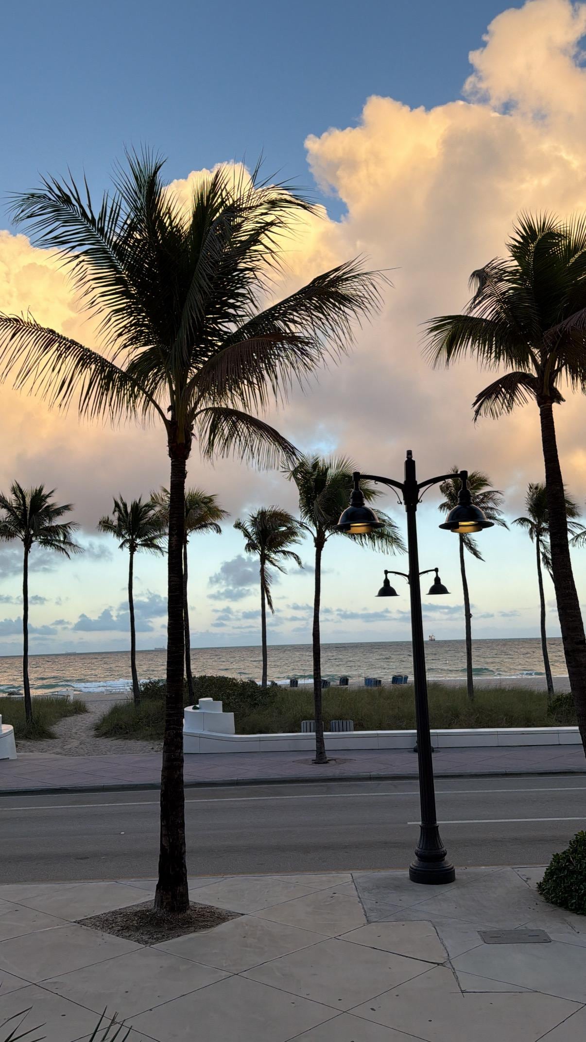 View from the hotel restaurant patio