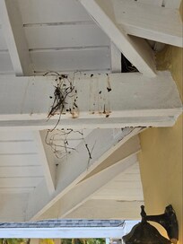 Bird's nest and poop 1 of 3 above outdoor dinging table and chairs