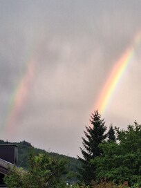 Blick aus dem Wohnzimmer