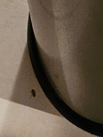 Another, in kitchen coming from bottom of garage can, we took bag out and still was coming from can. I sprayed it