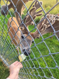 Deer Park was fun for the whole family.
