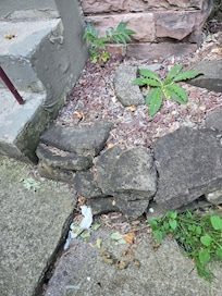 Slab of concrete at the driveway entrance