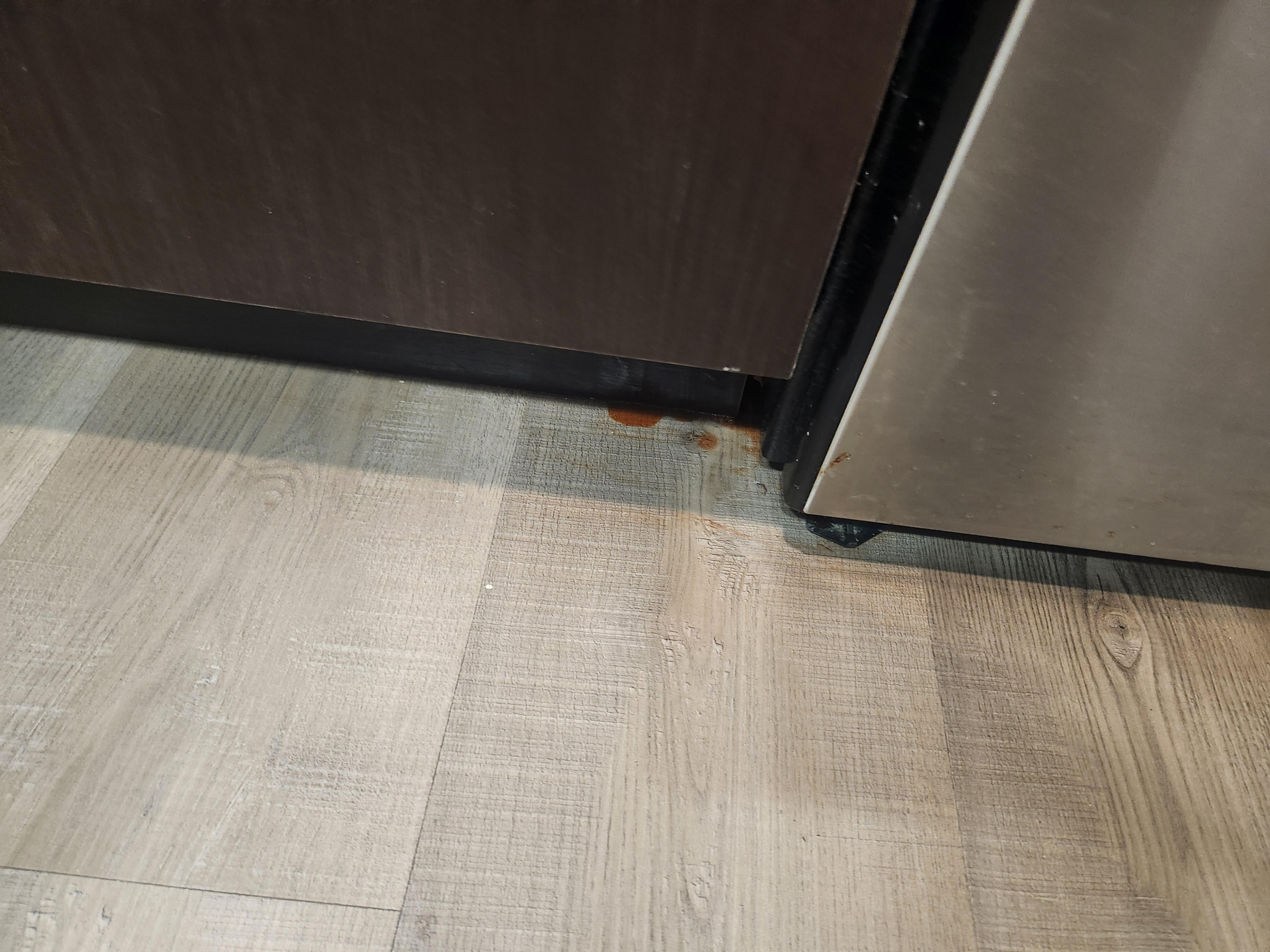 Pasta sauce on floor 