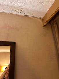 Water damage to ceiling and wall