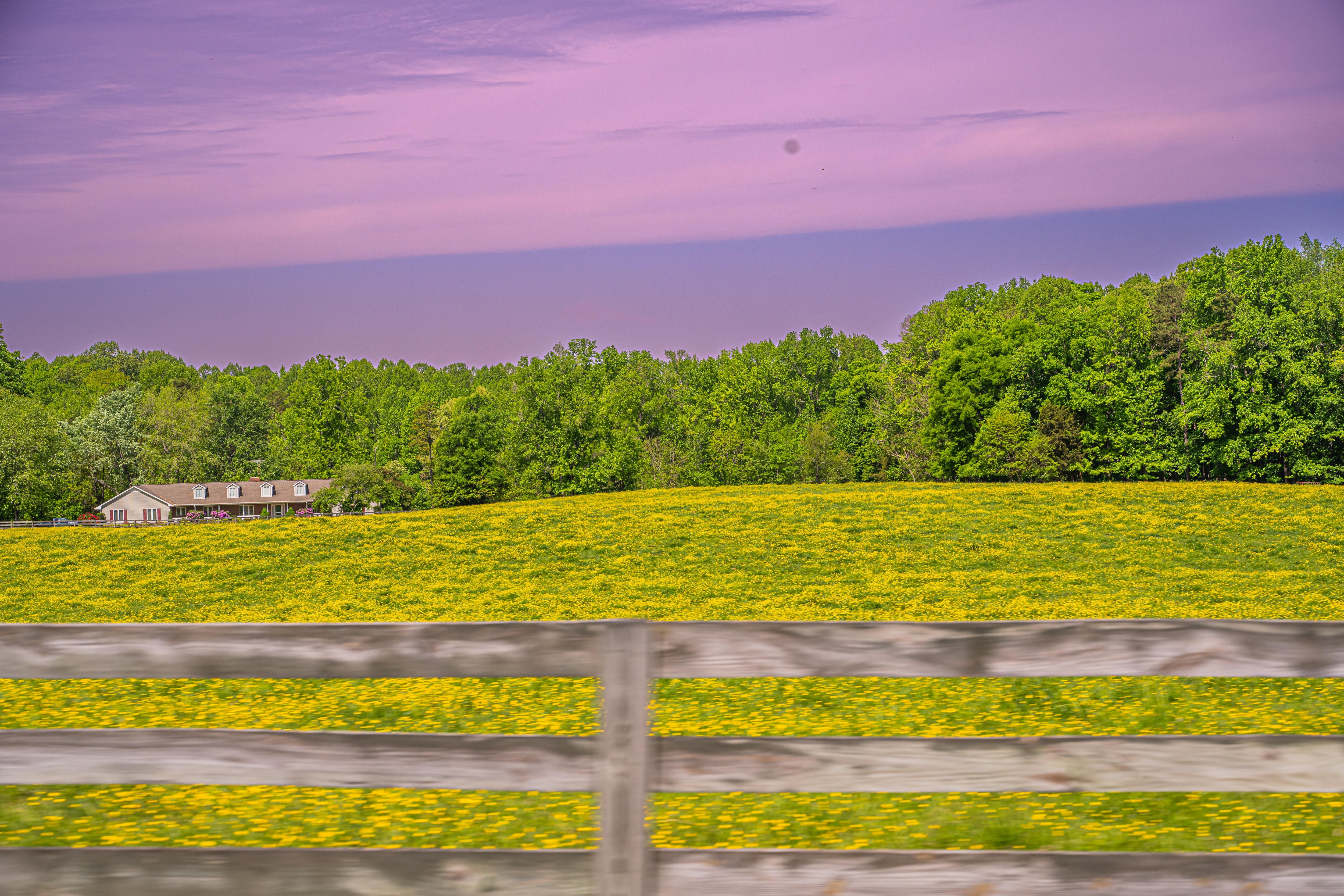 Sunset-beautiful color.