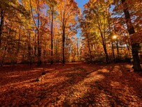 The street just outside the property. It was like this at every turn