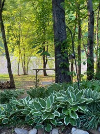 View from the side yard