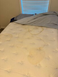 Urine stained bed