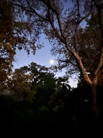 Full moon rising