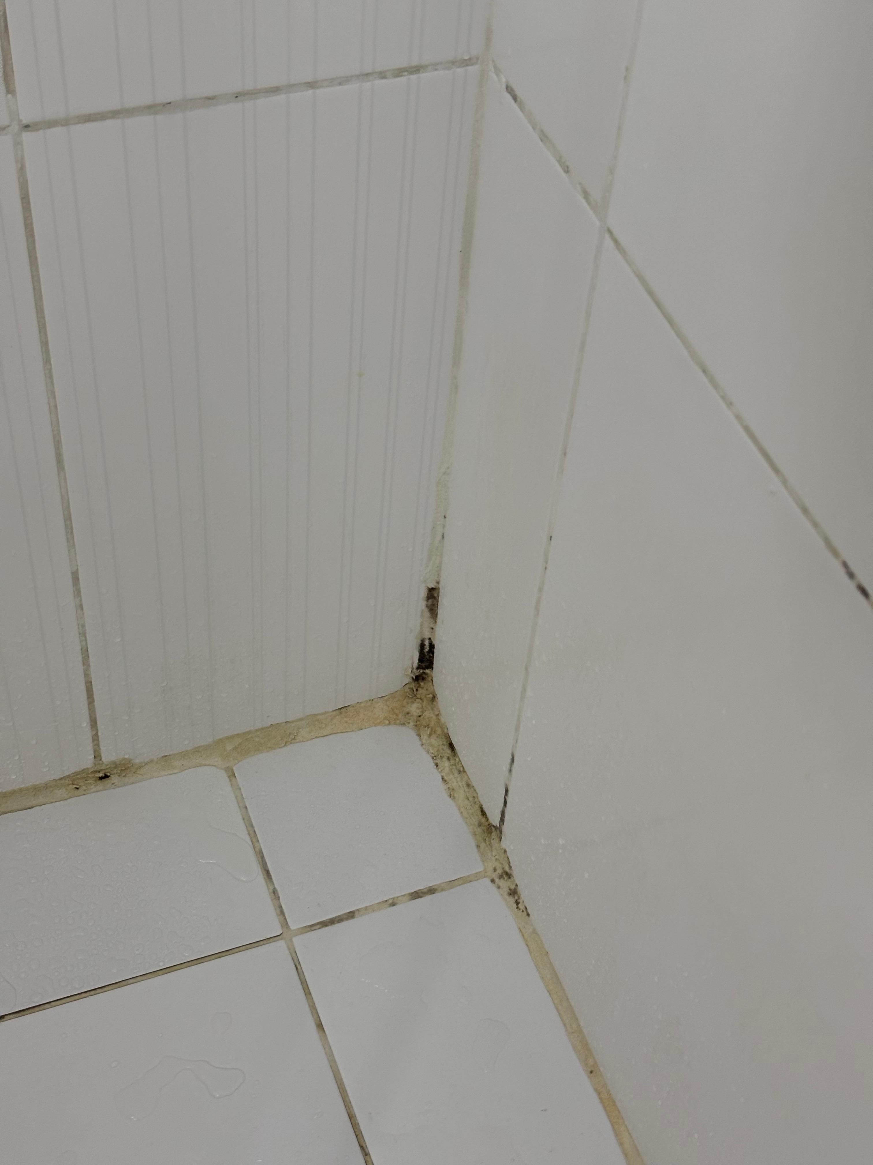 Mold and grime in shower