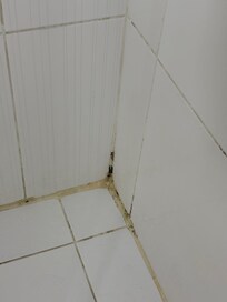 Mold and grime in shower