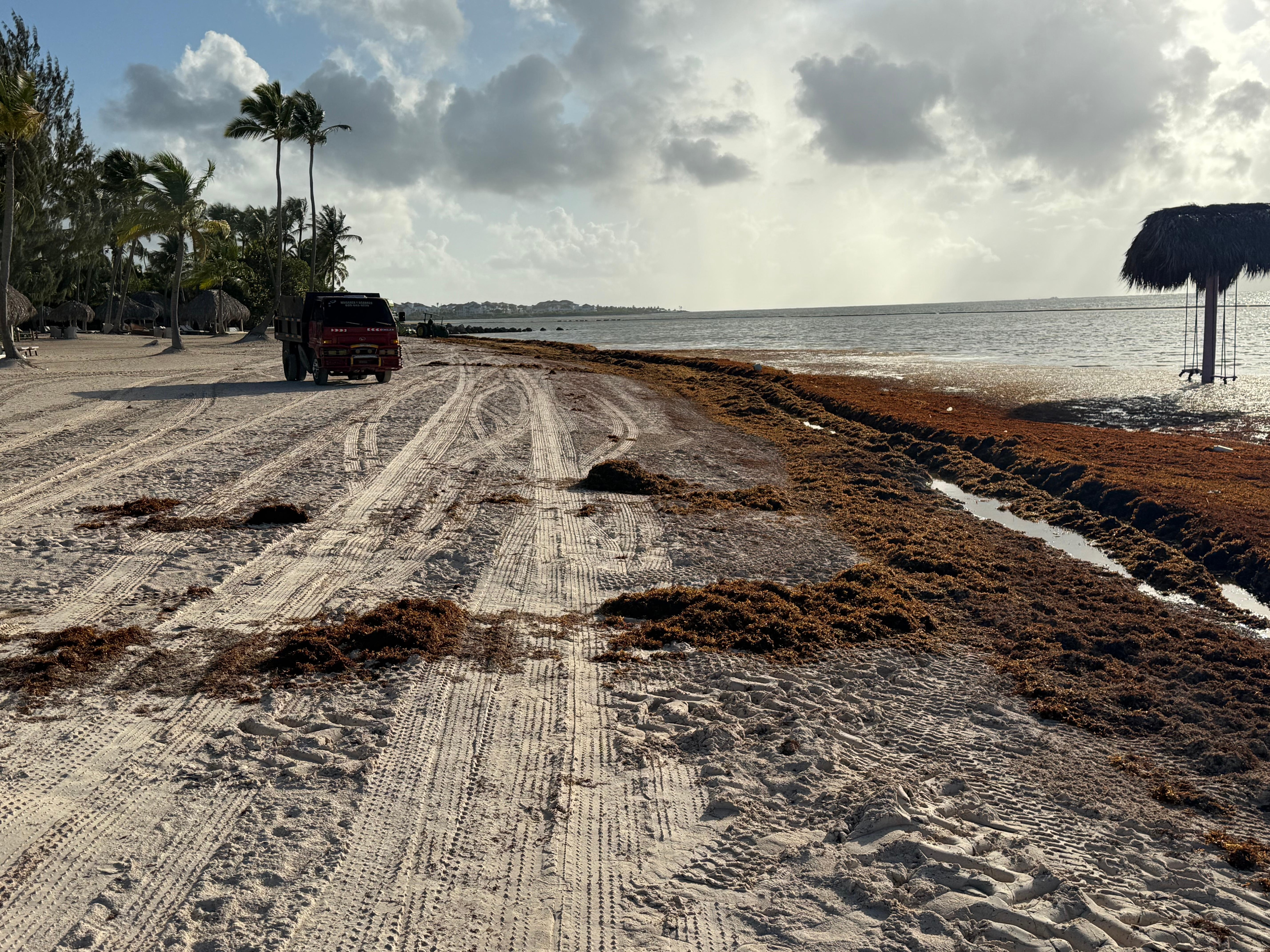 Dirty beach
