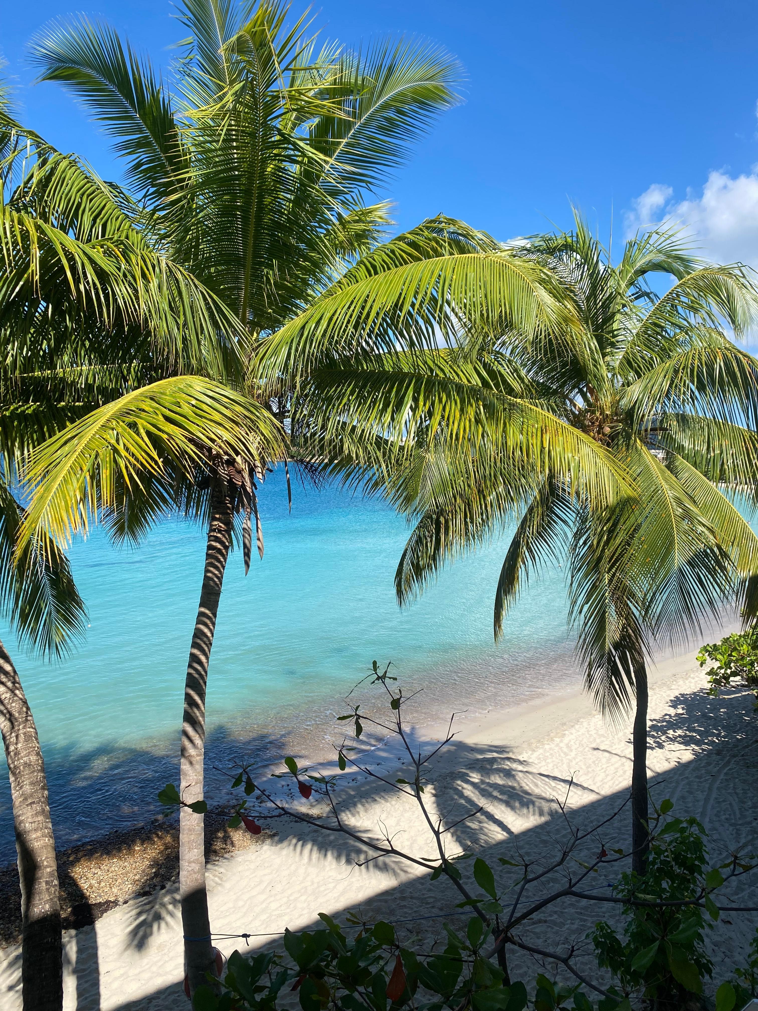 The view from my balcony every morning. The weather was perfect 