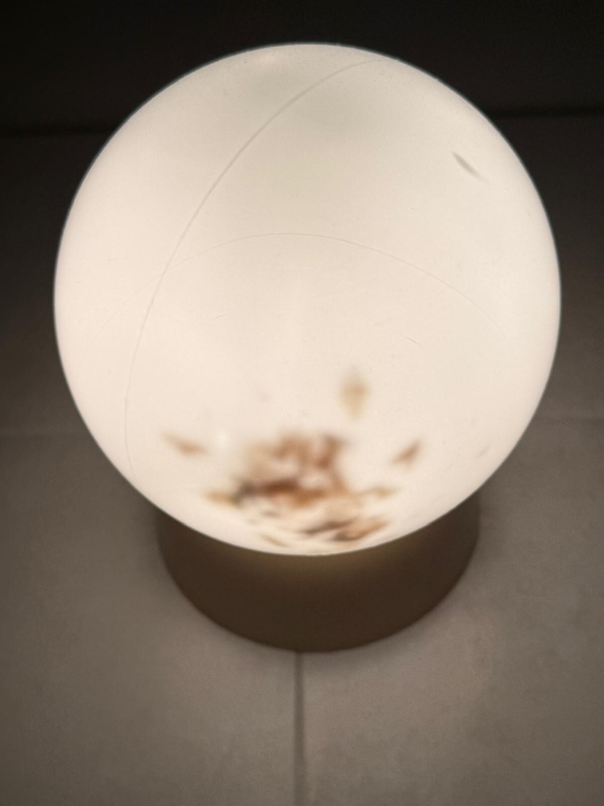 Dead flies in bathroom light fitting