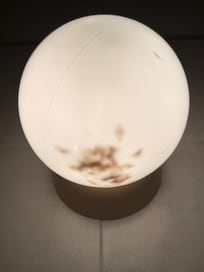 Dead flies in bathroom light fitting