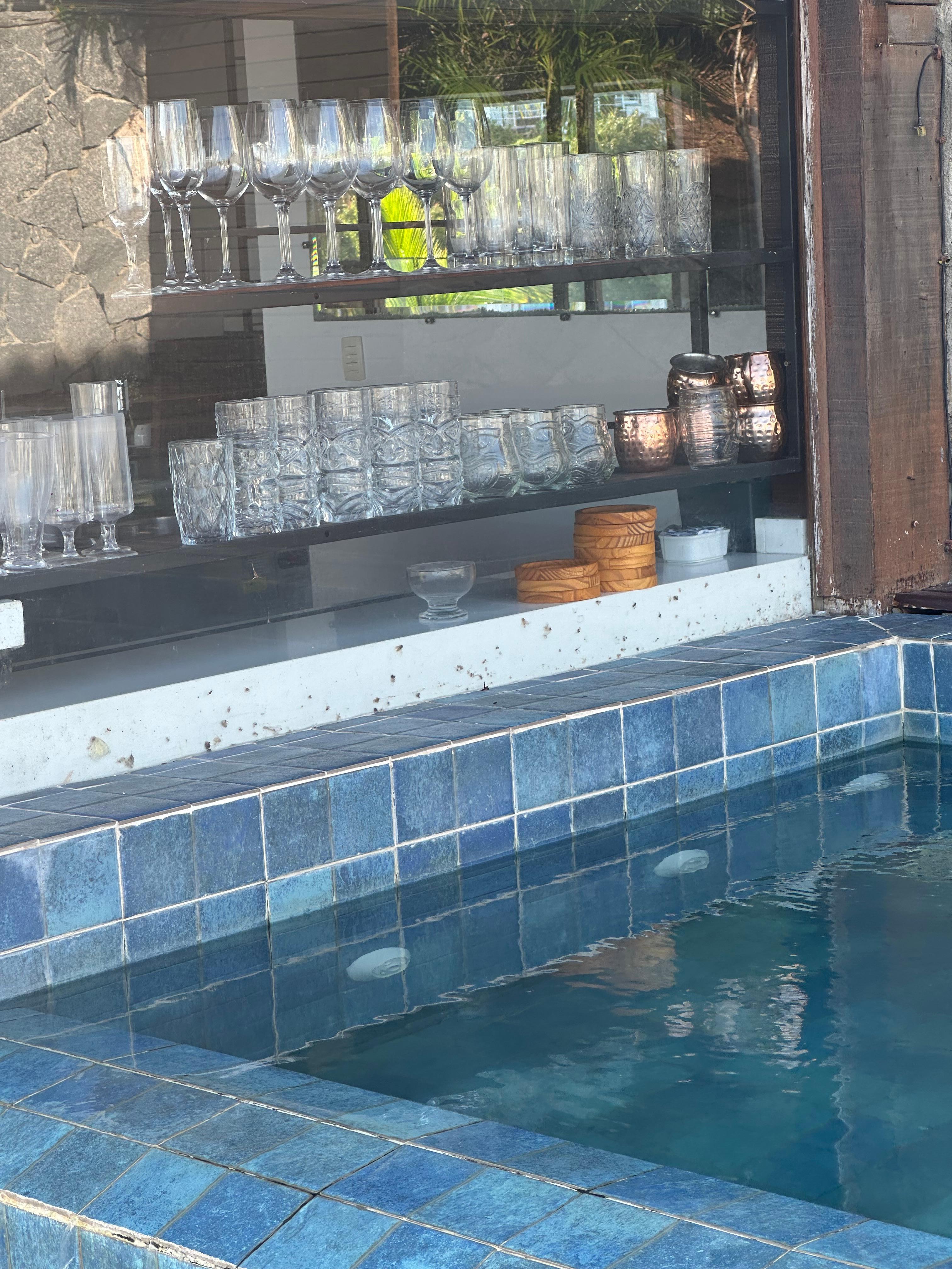 Tons of dead insects by the pool 