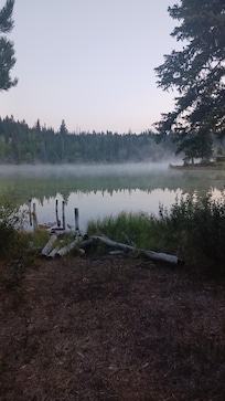 Morning walk around the cabin.