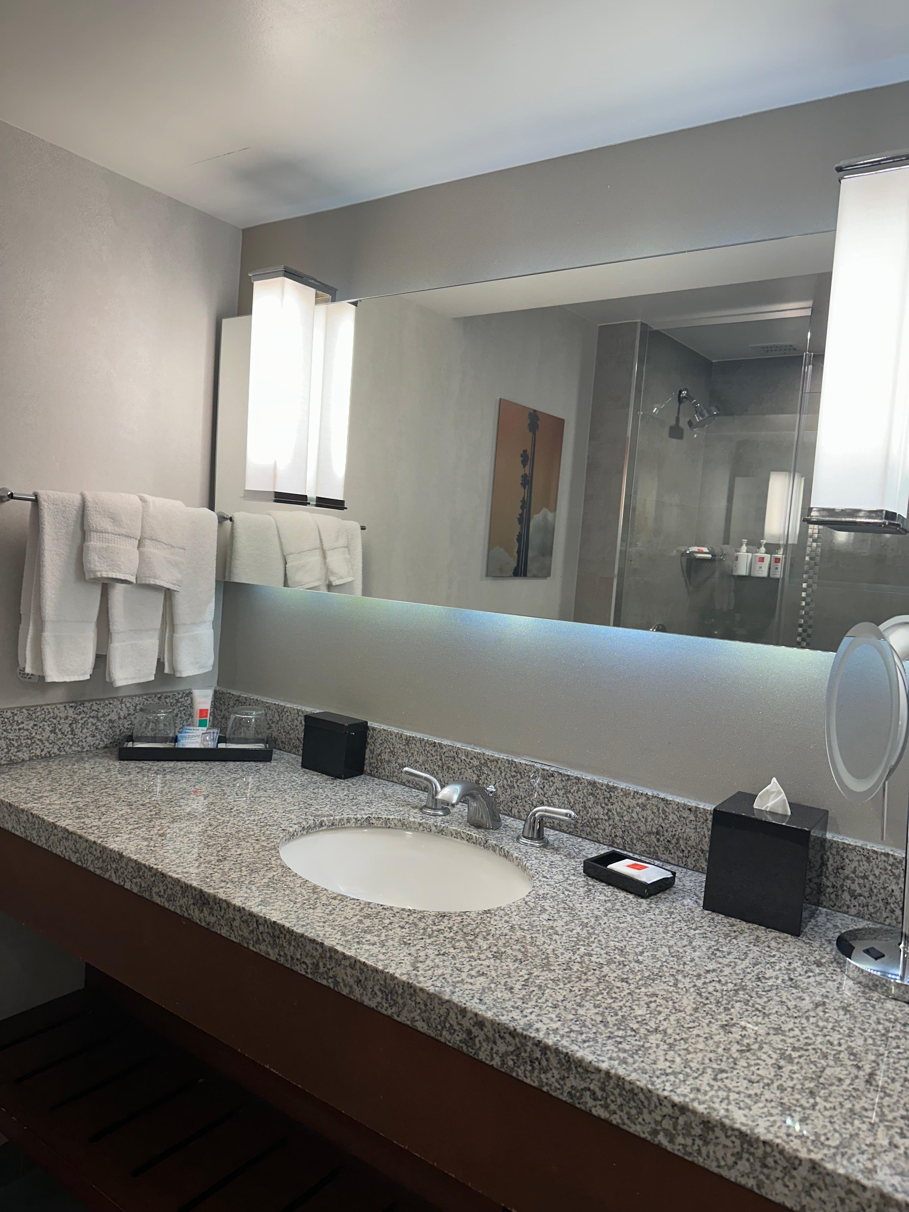 Bathroom (vanity and sink)