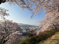 春日公城址公園