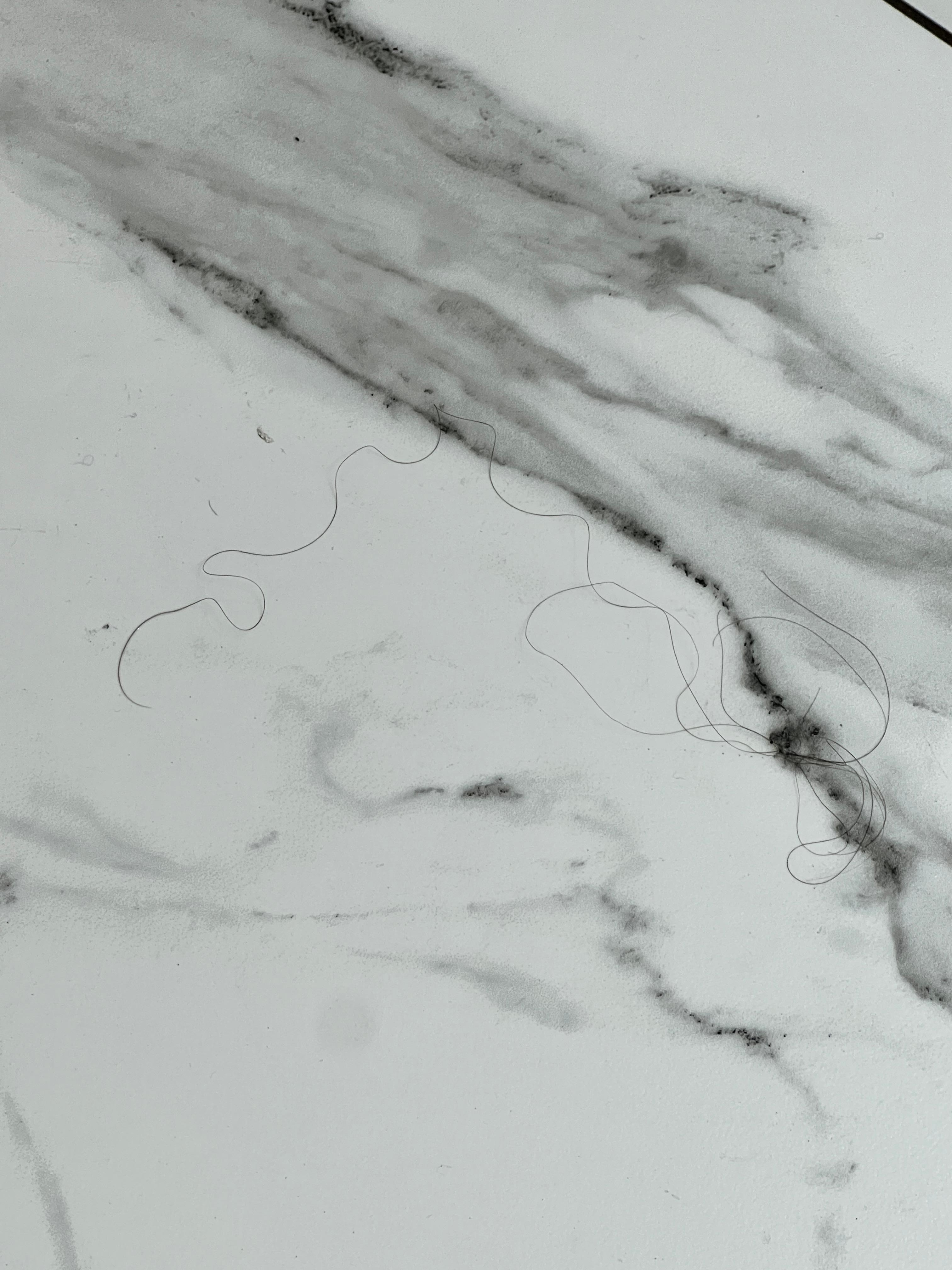 Lovely bathroom hair 