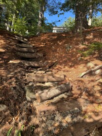 Log stairs to beach