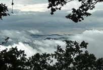 Morning view
