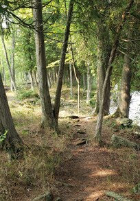 Cave Point trail