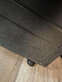 Furniture was covered in mold