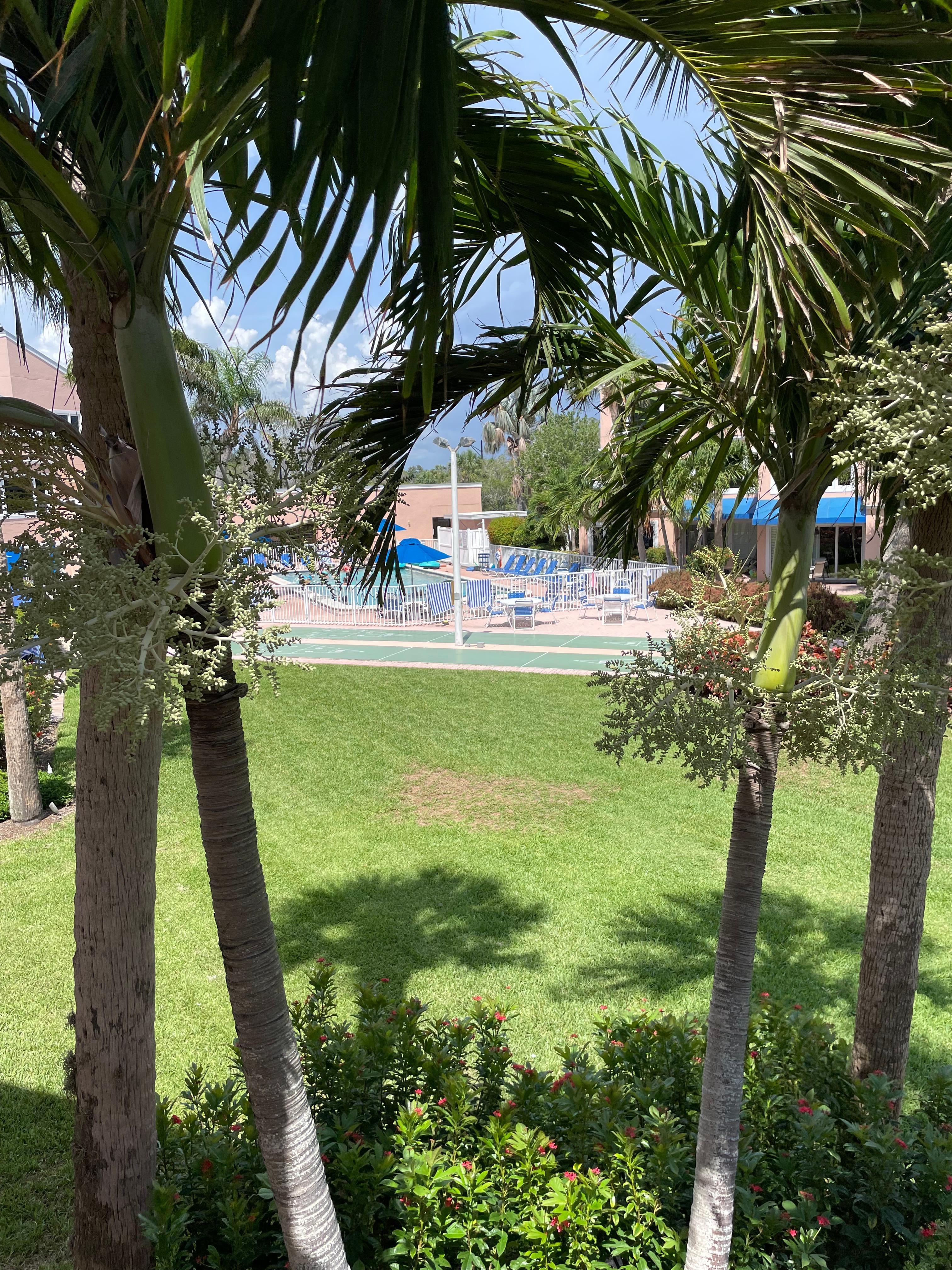 Balcony view of pool