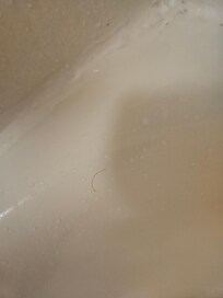 Hair on the tub