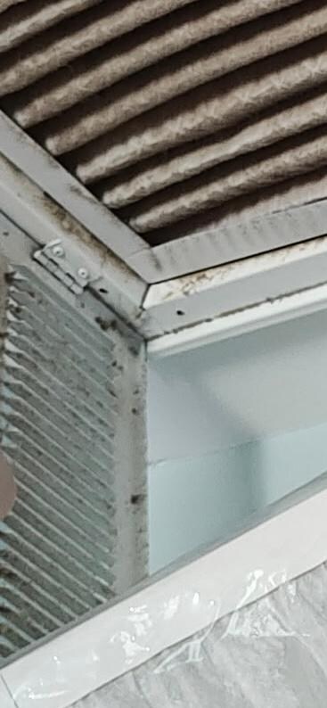 Close up of the MOLD that made our family of 7 sick, from 15 month old to 90 .. this is UNEXCUSEABLE on every level !!