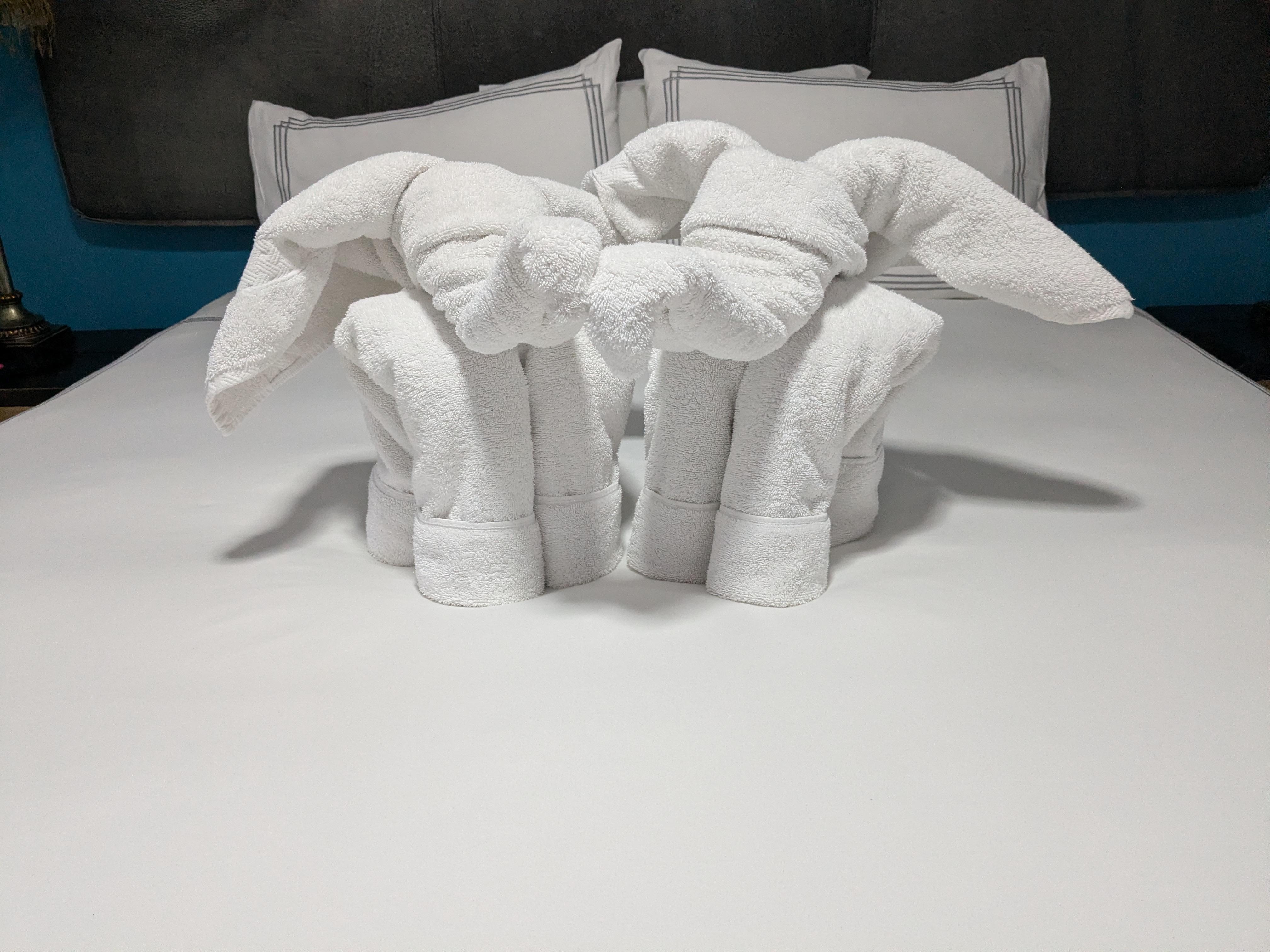 Host created towel elephants!