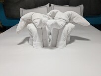 Host created towel elephants!
