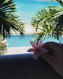 View from the balcony
