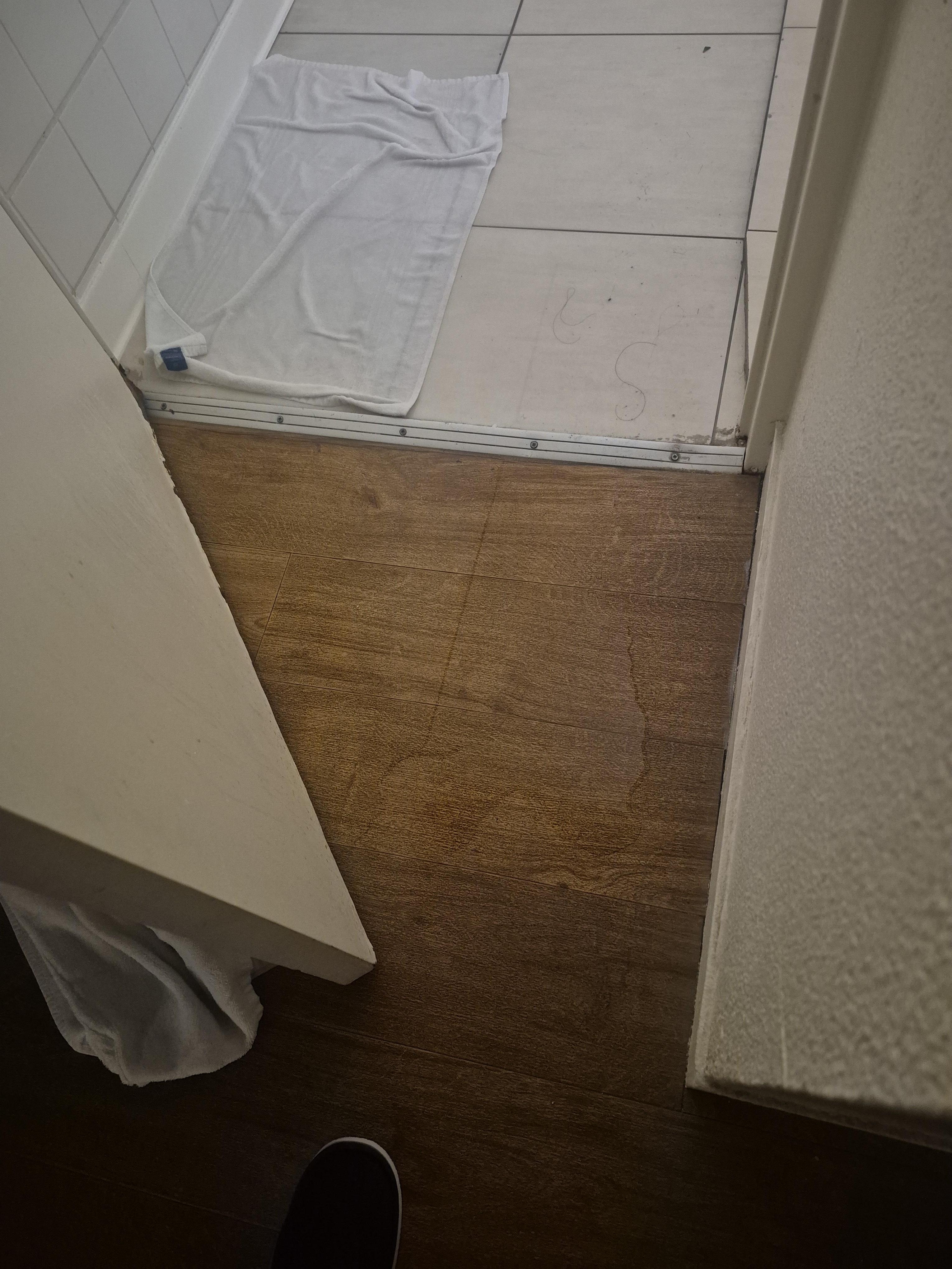 Shower water out into bedroom 