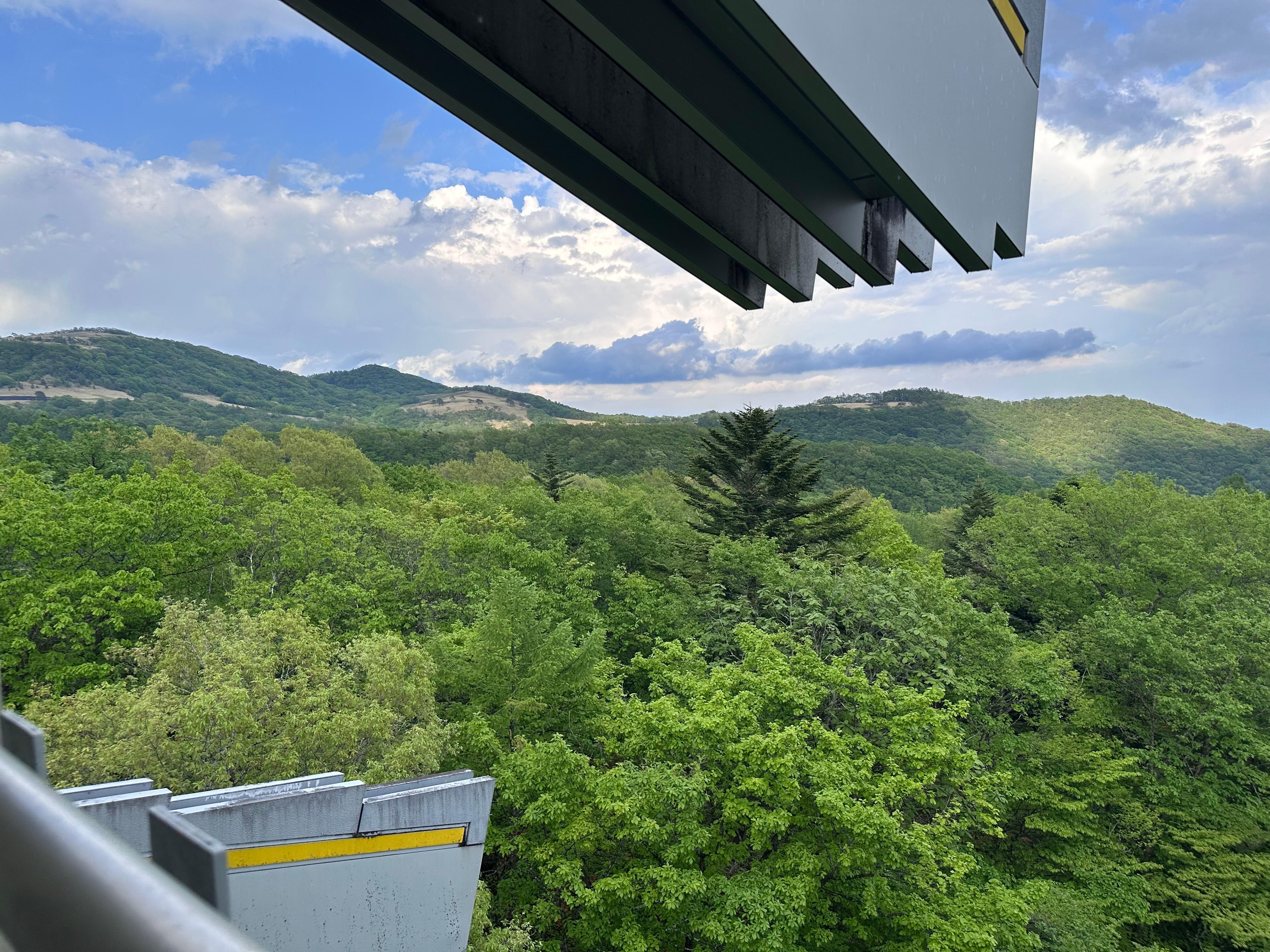 Room view
