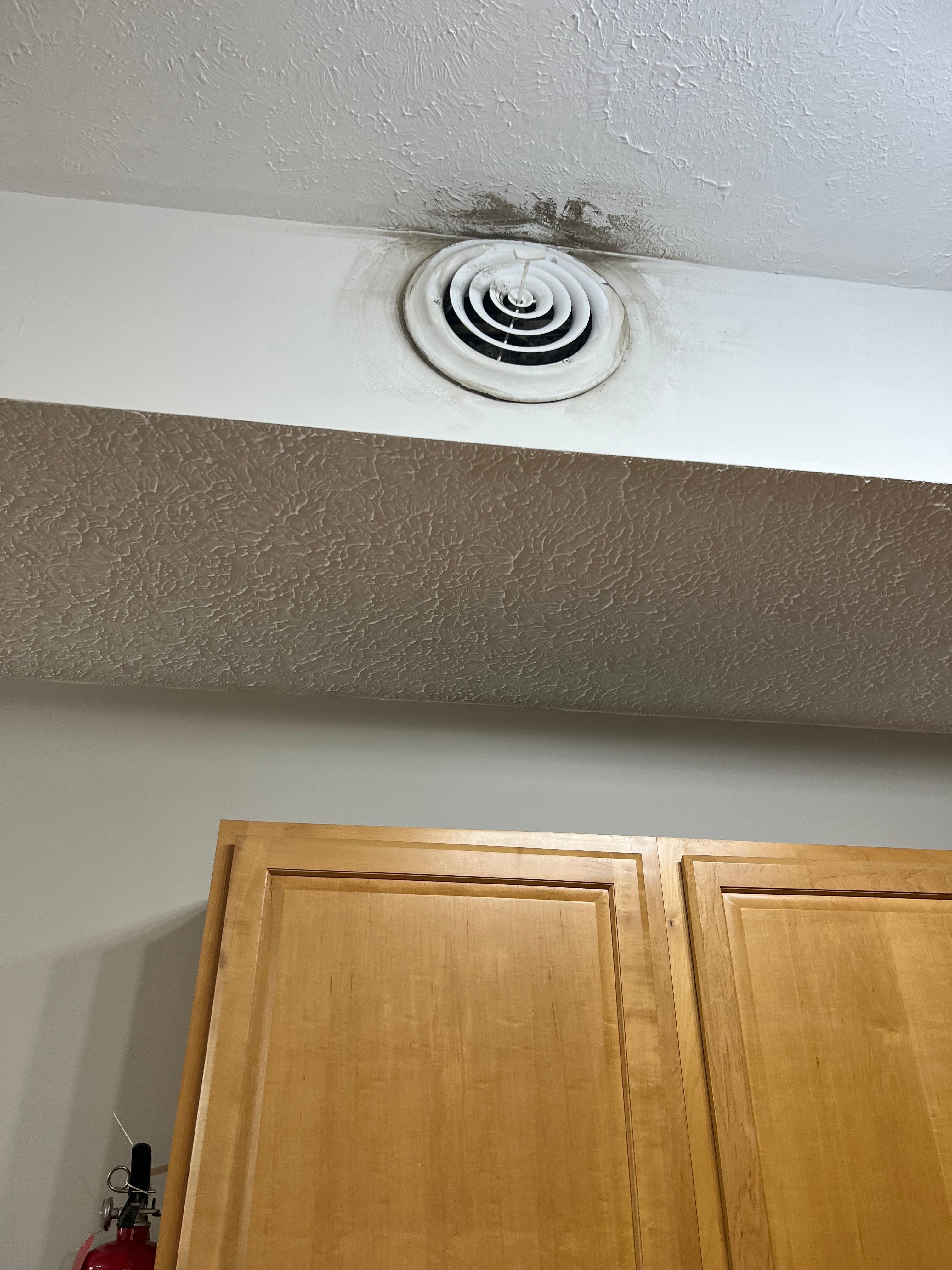 Dirty air vents.  Totally disgusting 