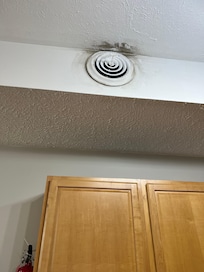 Dirty air vents. Totally disgusting