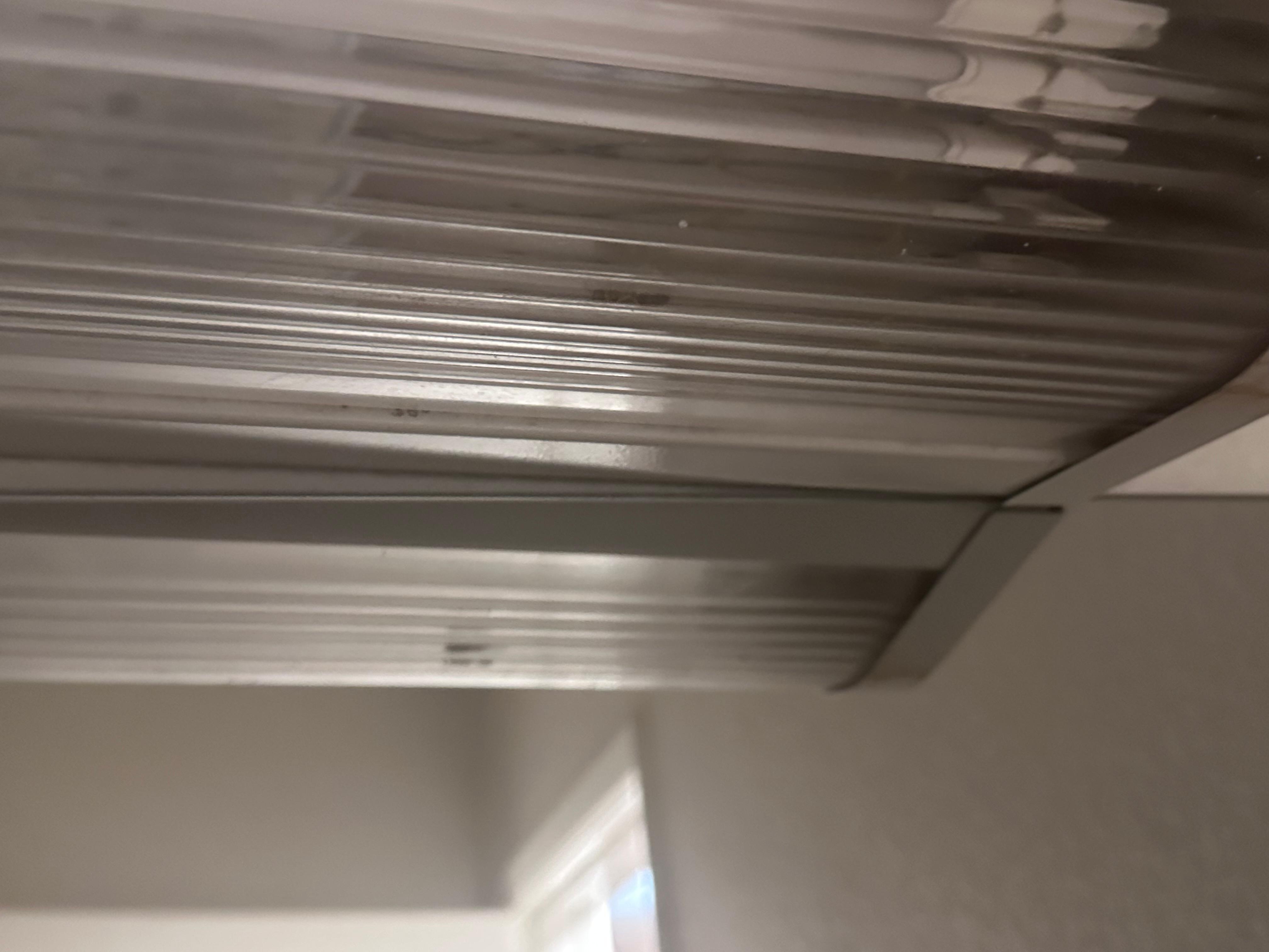 Bathroom light full of bugs, filthy and falling down.