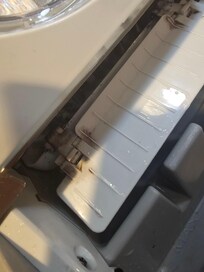 Mold in ice maker