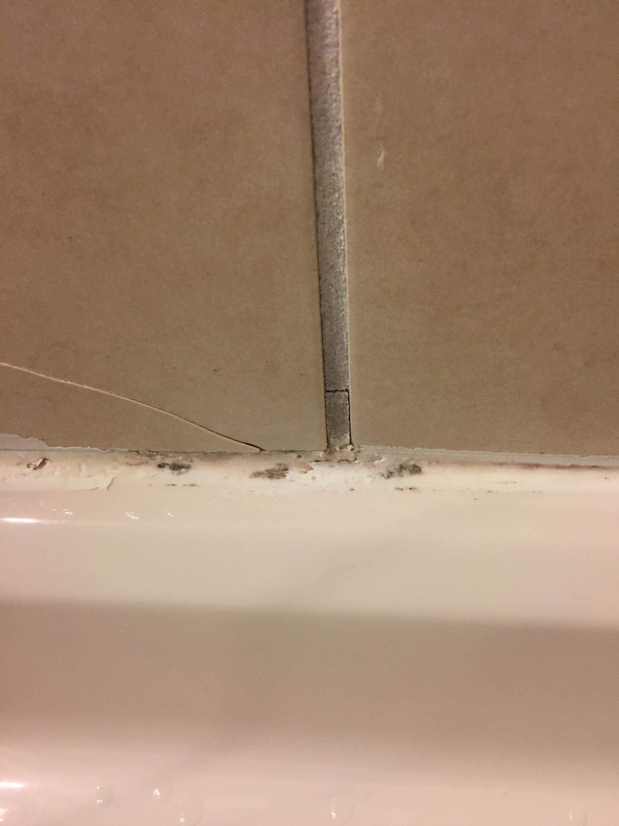 Mold in shower