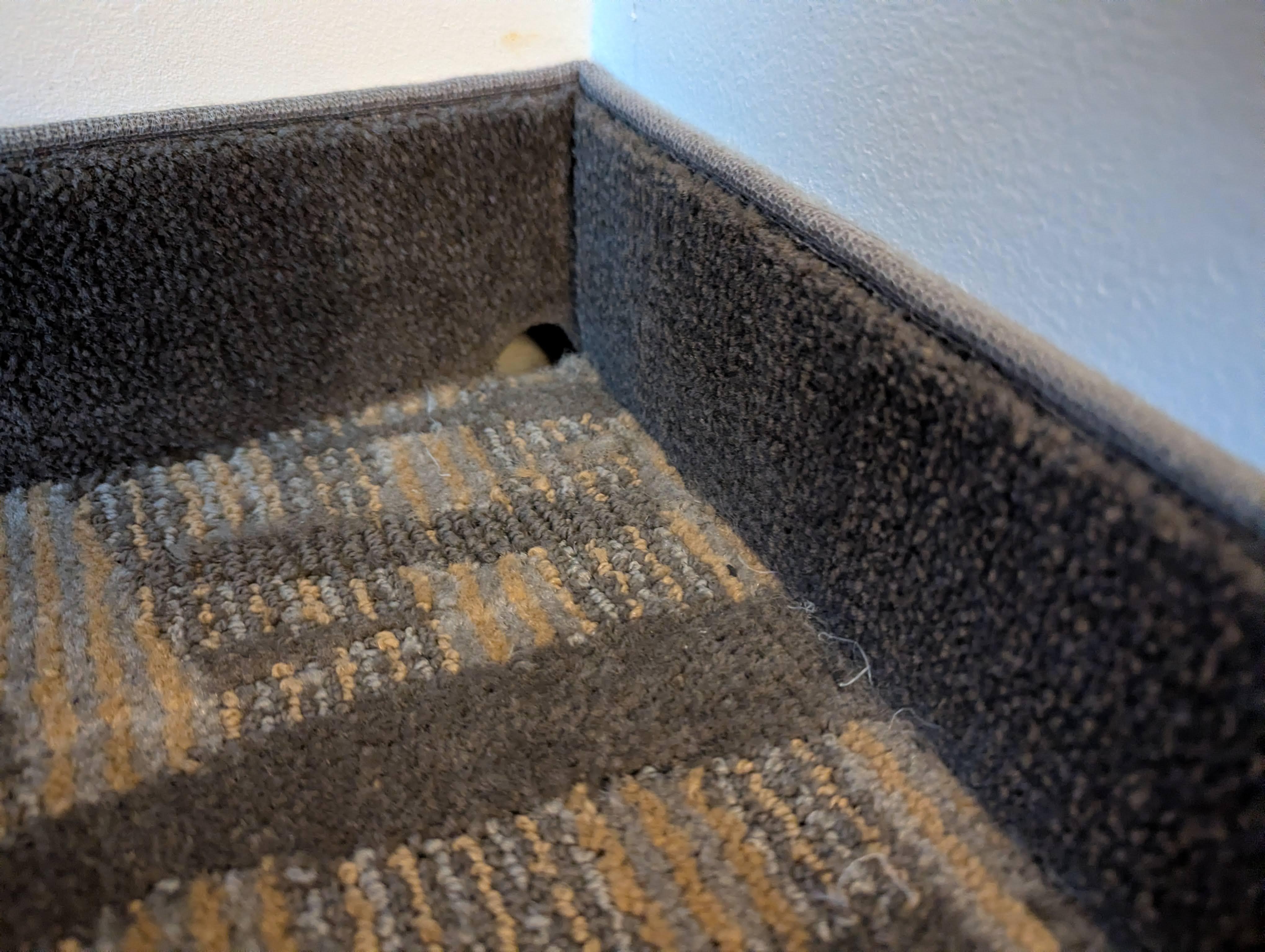 Mouse hole in the wall behind the wardrobe