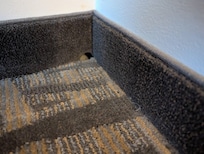 Mouse hole in the wall behind the wardrobe