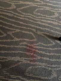 Stains on carpet