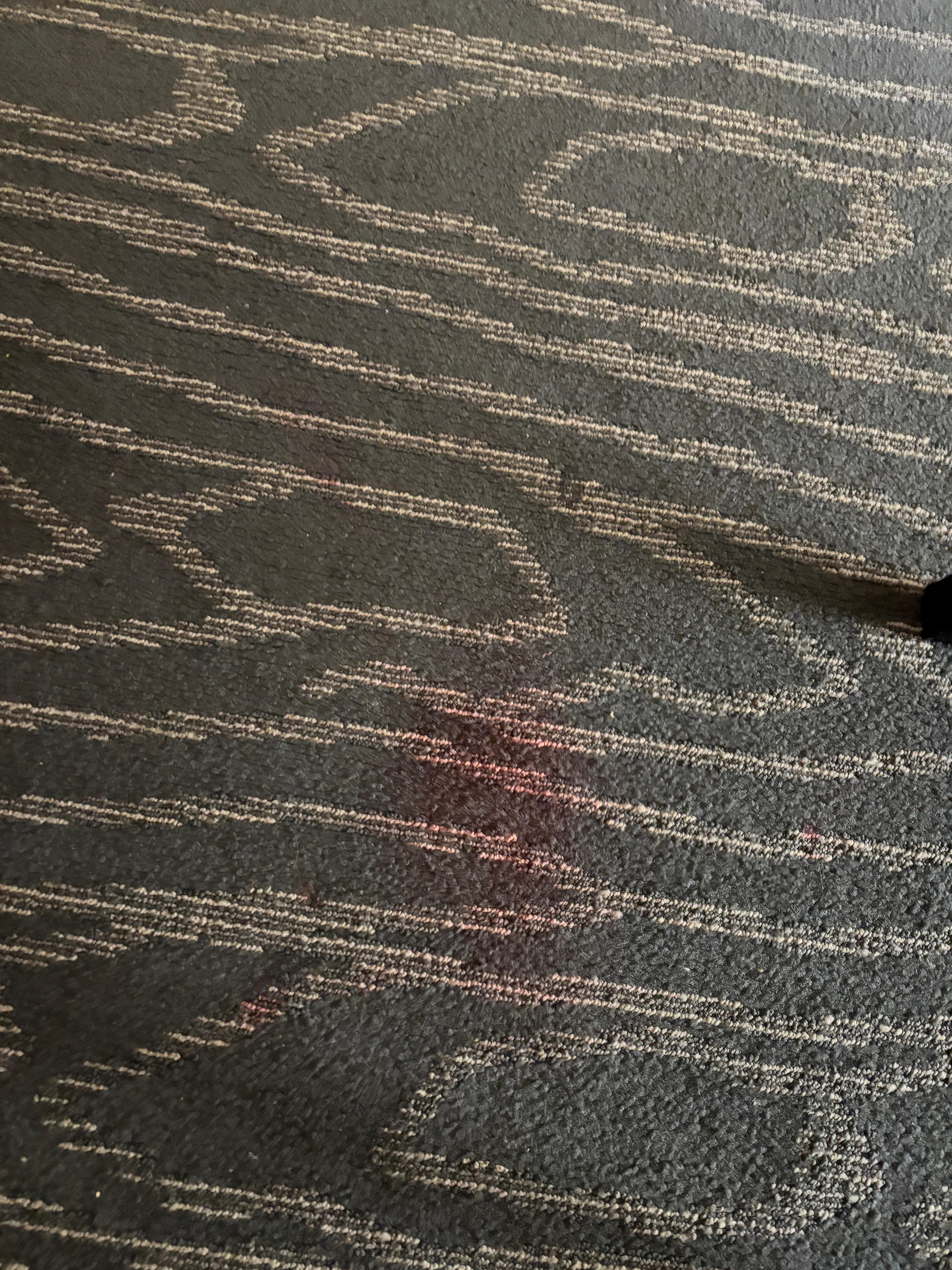 Stains on carpet