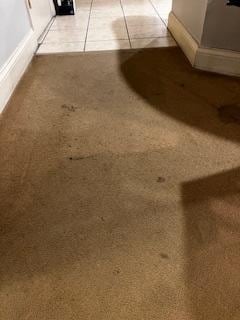 Carpeting going into the kitchen from eating area.