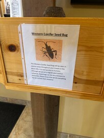 Bugs
