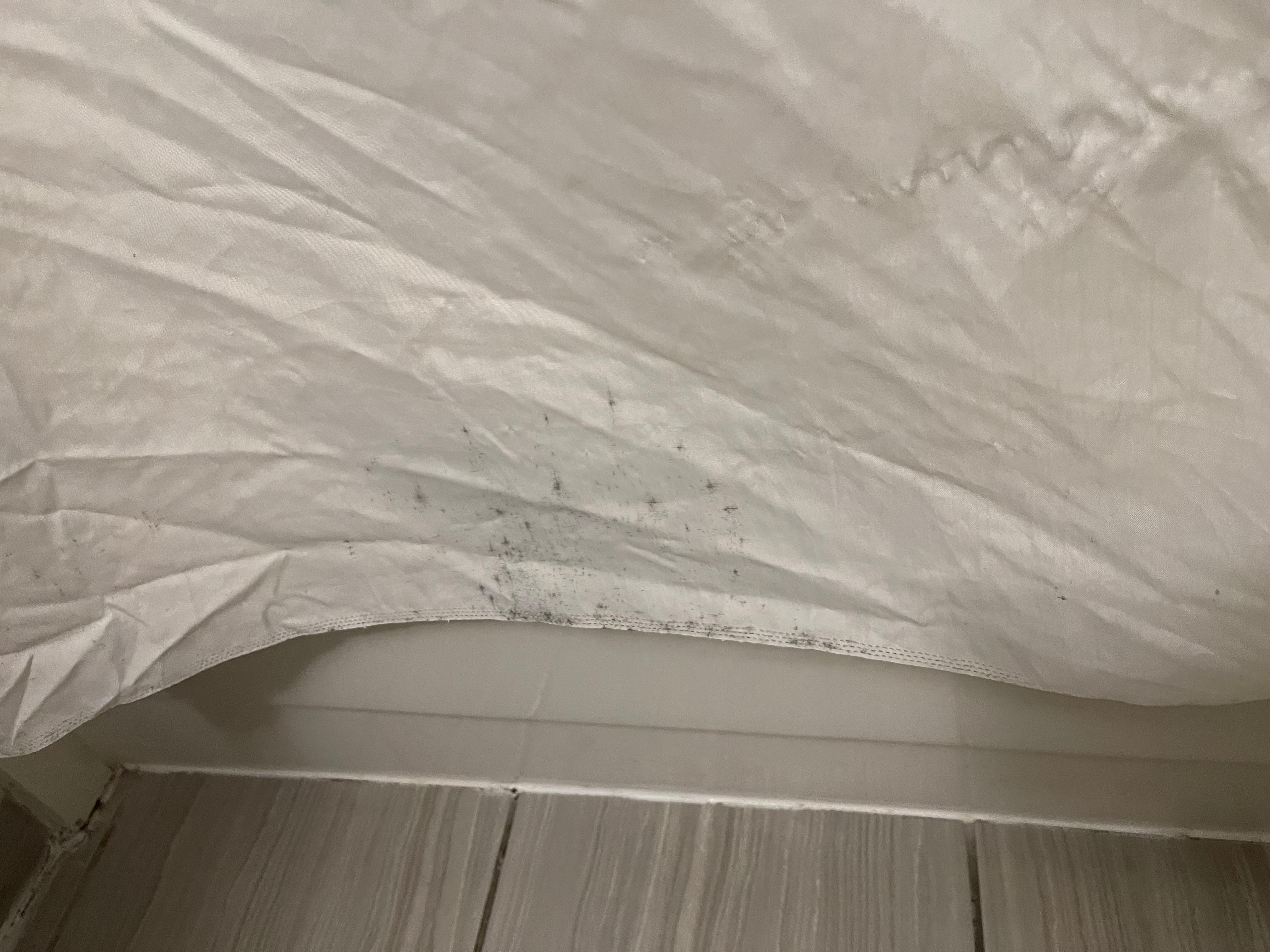 Another picture of moldy shower curtains